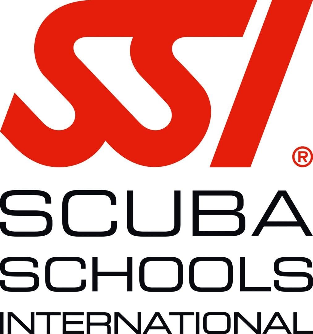 SSI