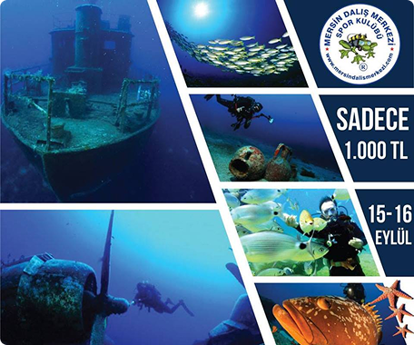 Bodrum Dalış Turu Etkinliği