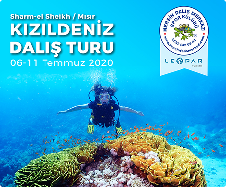 Kızıl Deniz Turu 2020