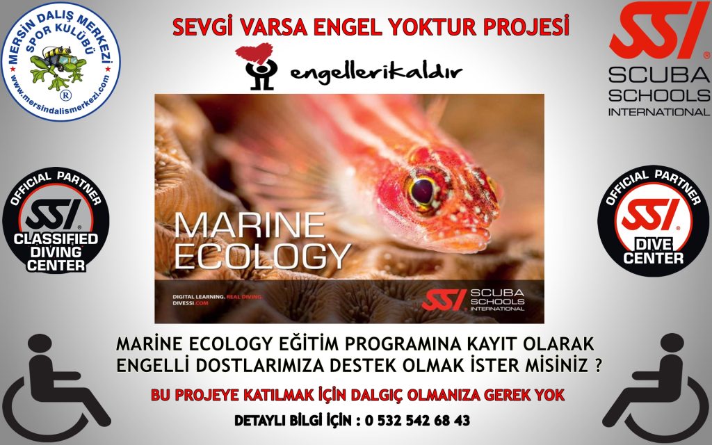 SEVGİ VARSA ENGEL YOKTUR PROJESİ