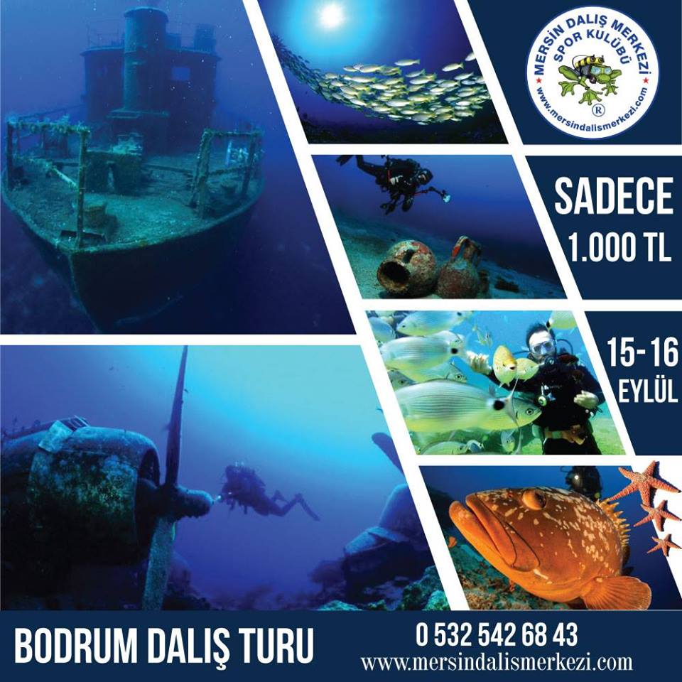 Bodrum Dalış Turu Etkinliği